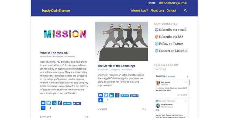 Screenshot of Supply Chain Shaman Website